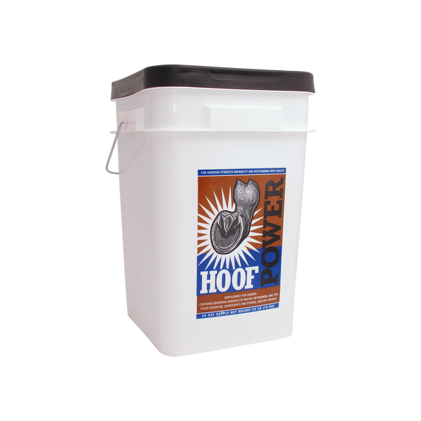 Delta Hoofpower 22 lb